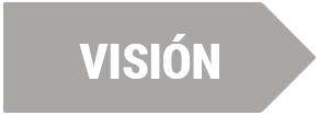 DTFQ Visión